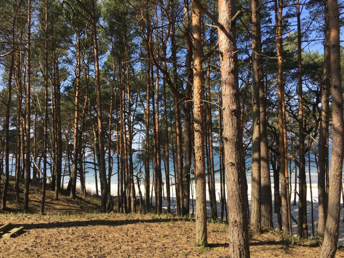 Apartamenty I Pokoje Magnolia Дзьвіжино Екстер'єр фото